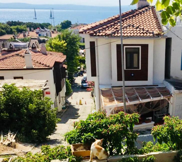 Vapori Otel 보즈자아다 외부 사진